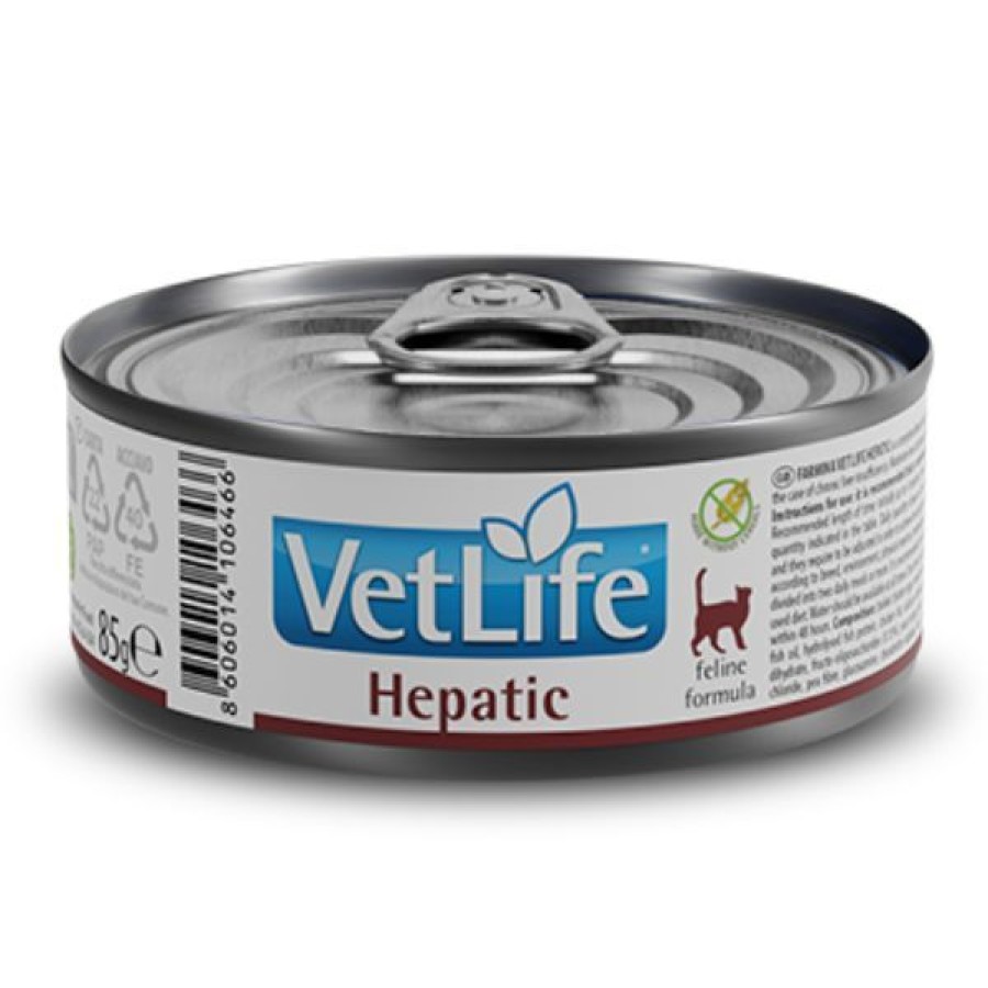 Gatti Farmina Vet Life | Farmina Vet Life Feline Hepatic