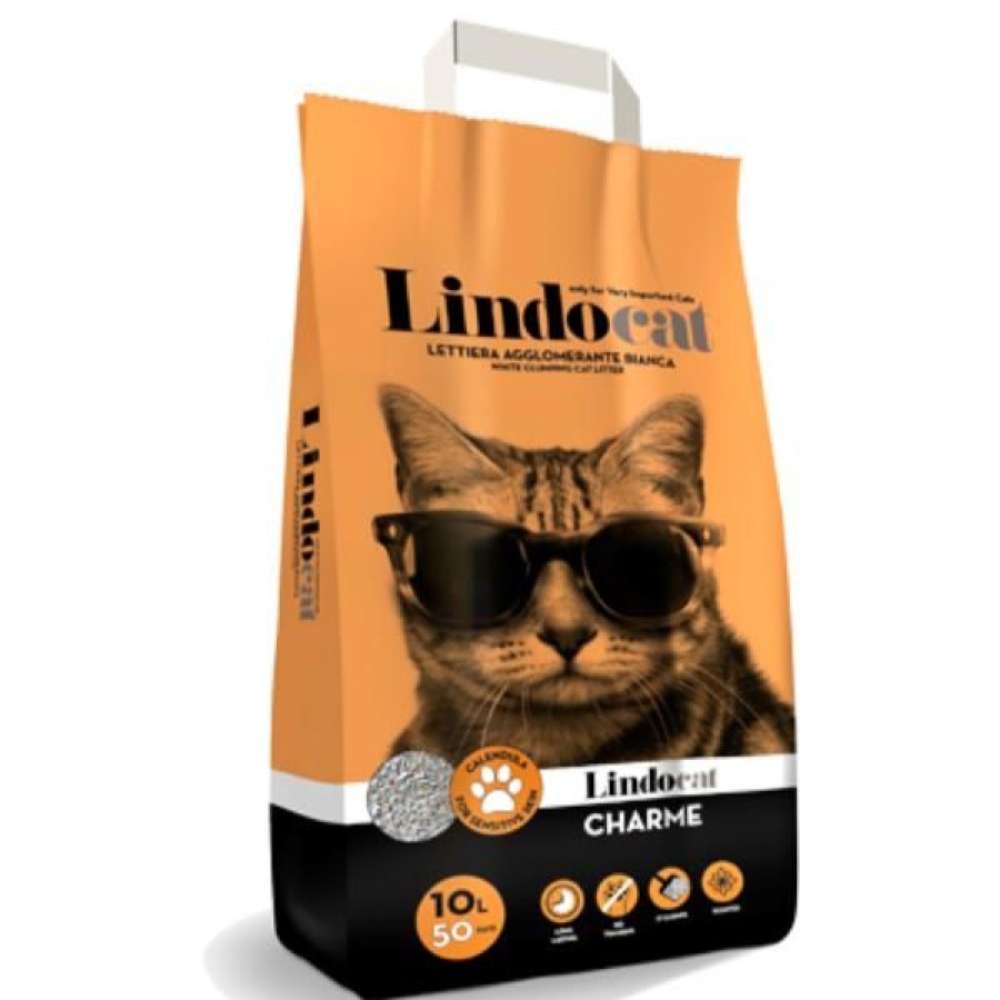 Gatti Lindocat | Lindocat Charme