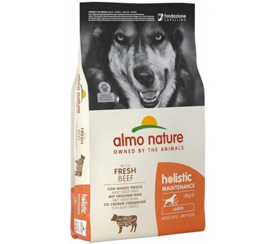 Cani Almo Nature | Almo Nature Holistic Large Adult Con Manzo