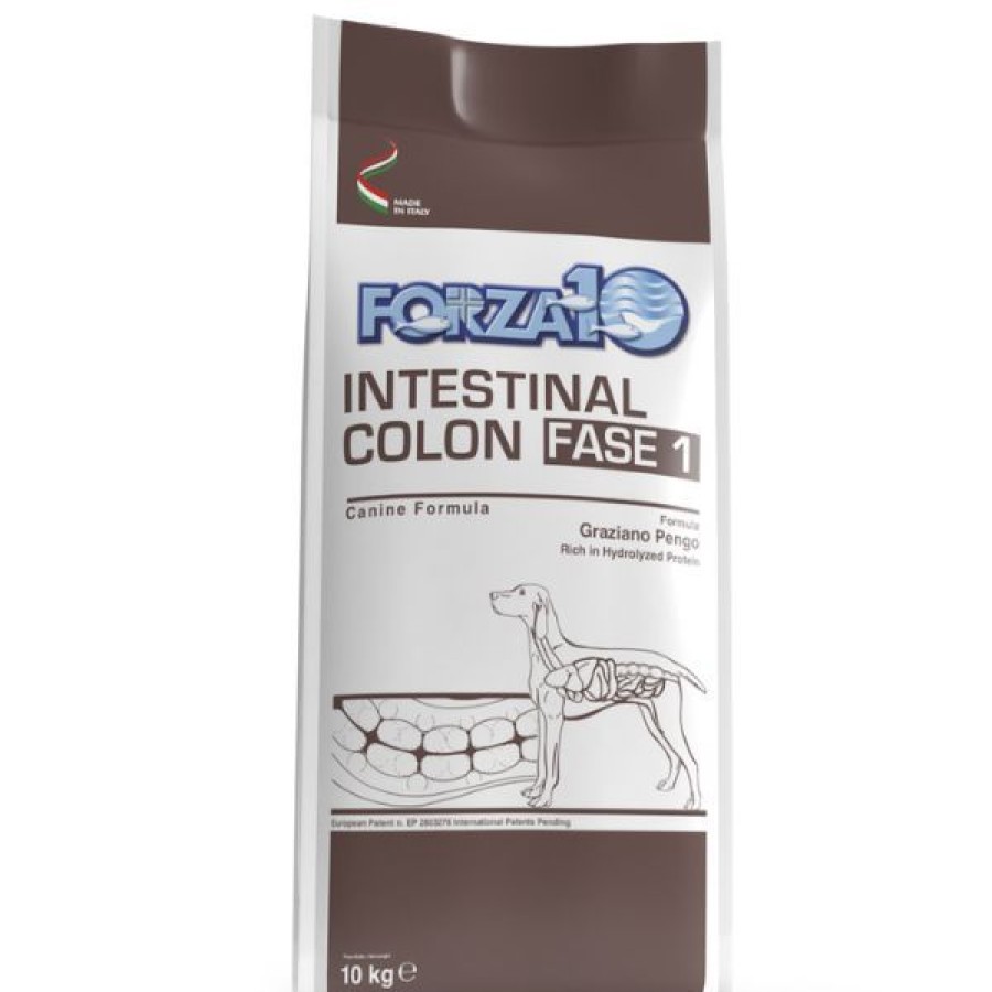 Cani Forza10 Active | Forza10 Active Cane Intestinal Colon Fase 1