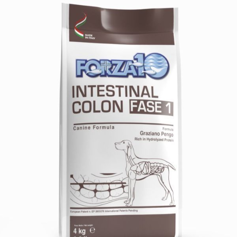 Cani Forza10 Active | Forza10 Active Cane Intestinal Colon Fase 1