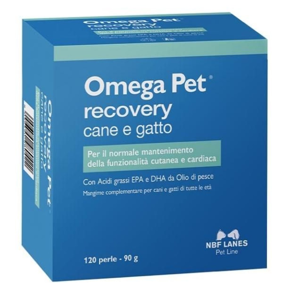 Gatti NBF Lanes | Nbf Lanes Omega Pet Recovery Cane E Gatto