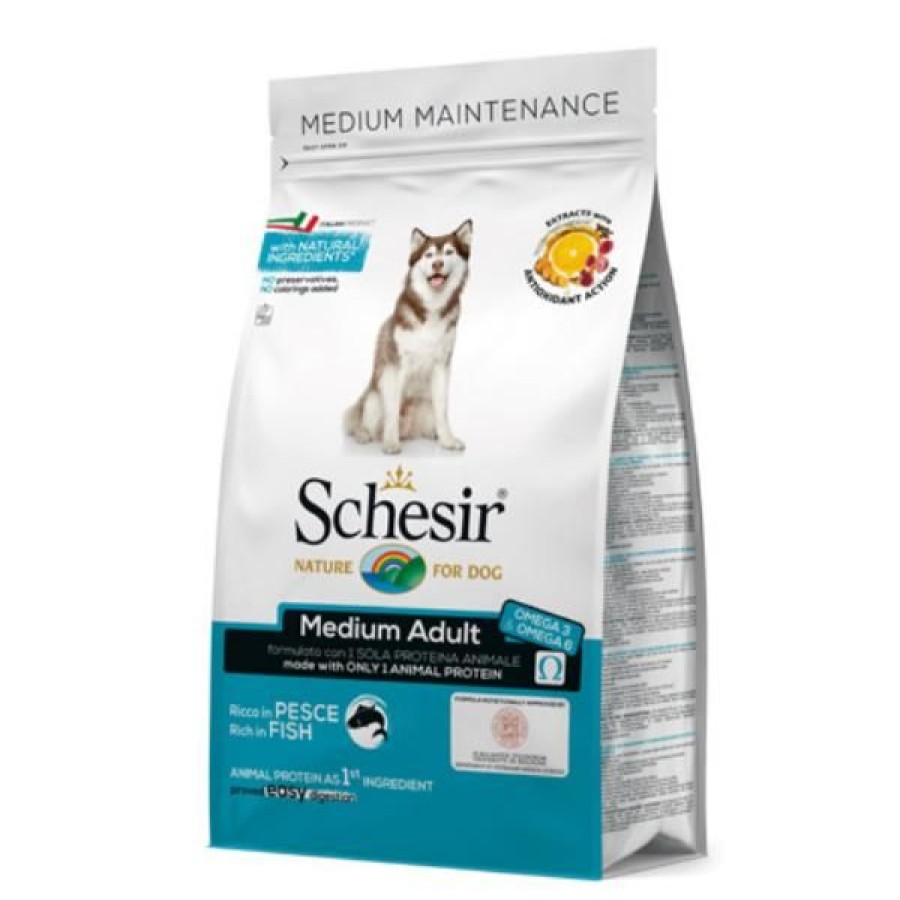 Cani Schesir | Schesir Dog Adult Medium Maintenance Pesce