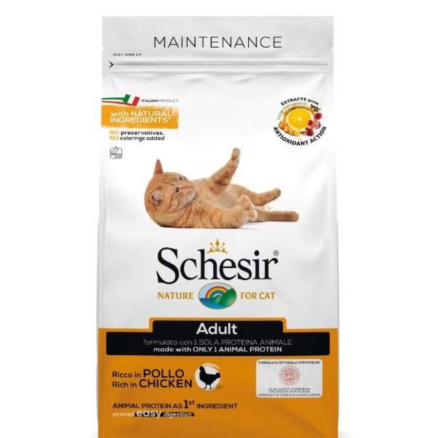 Gatti Schesir | Schesir Cat Dry Mantenimento Pollo