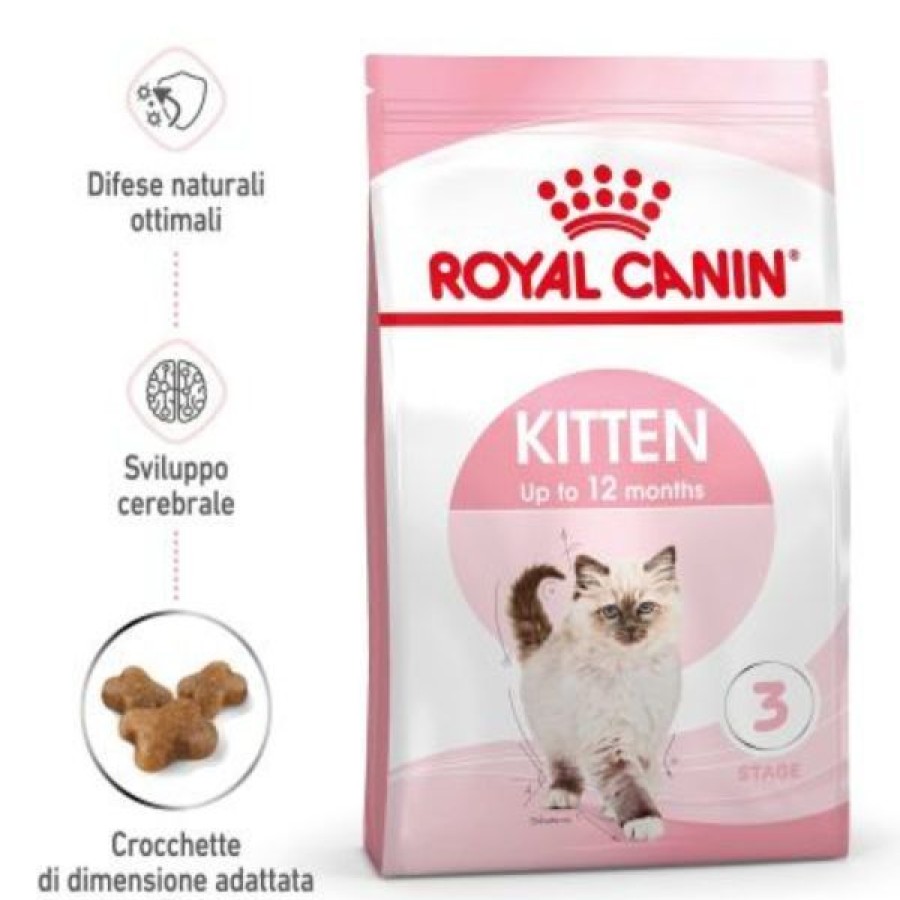 Gatti Royal Canin | Royal Canin Kitten 36