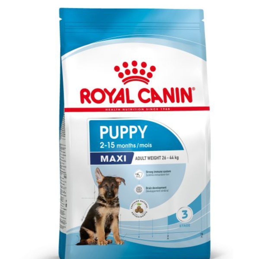 Cani Royal Canin | Royal Canin Maxi Puppy Junior