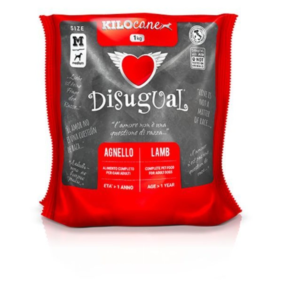 Cani Disugual | Disugual Adult Medium Agnello