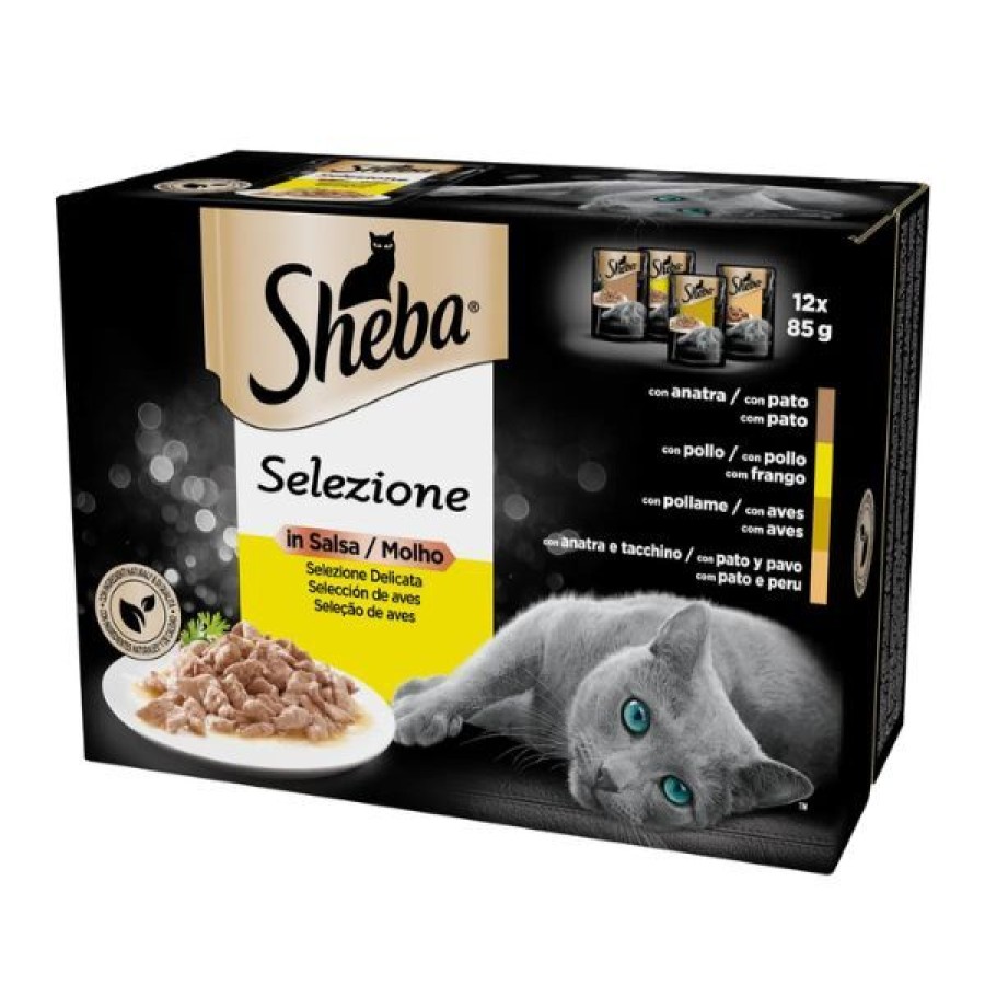 Gatti Sheba | Sheba Selezione In Salsa Multipack 12X85 Gr