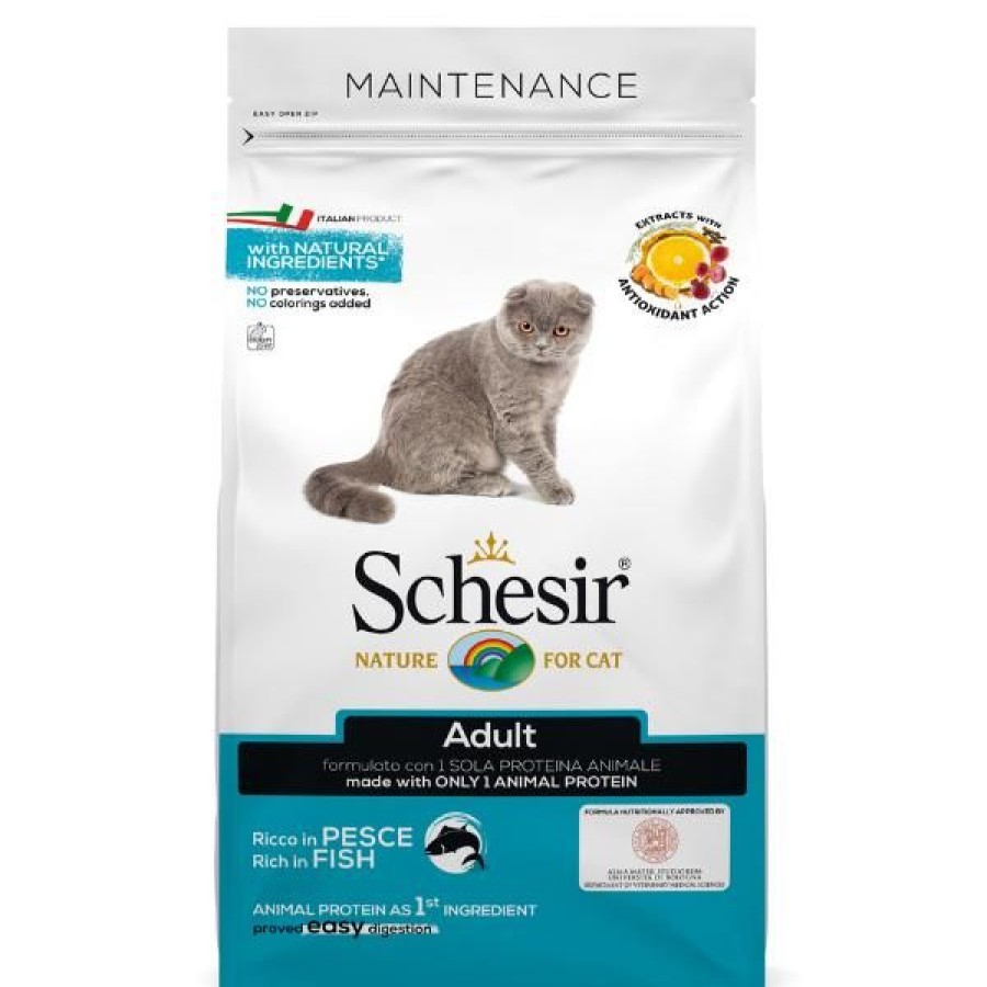 Gatti Schesir | Schesir Cat Dry Mantenimento Pesce