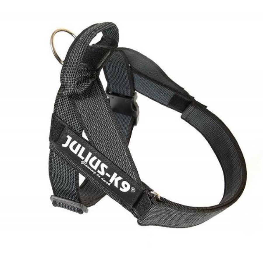 Cani Julius-K9 | Pettorina Nylon Norvegese Julius-K9