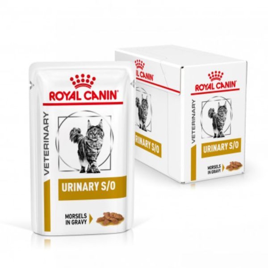 Gatti Royal Canin Veterinary Diet | Royal Canin Urinary S/O In Salsa