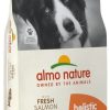 Cani Almo Nature | Almo Nature Holistic Large Adult Con Salmone