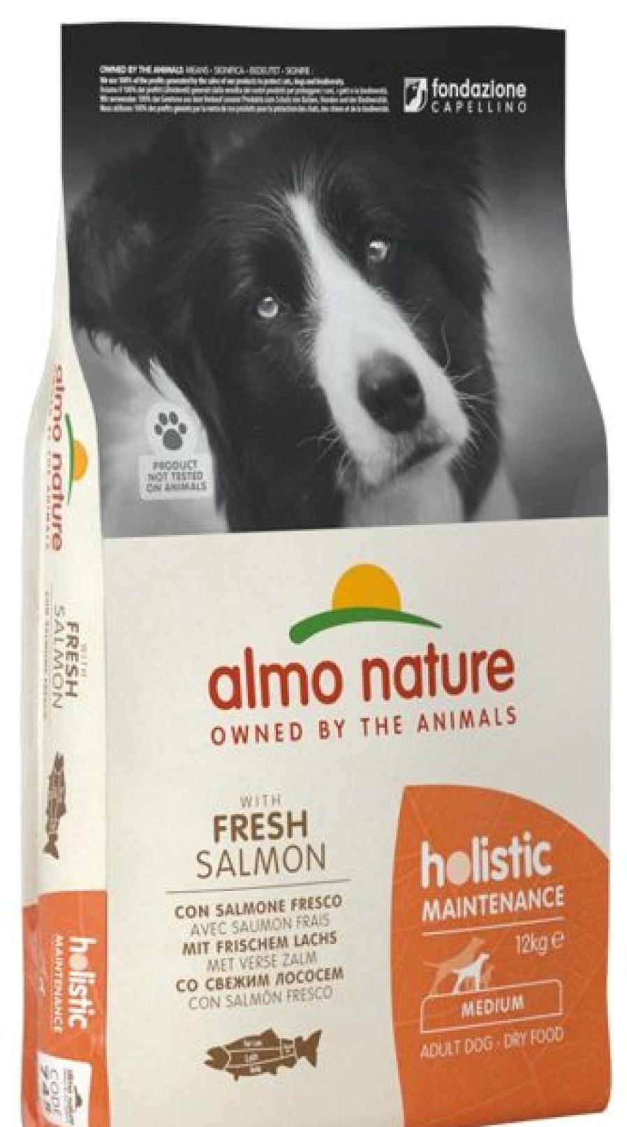 Cani Almo Nature | Almo Nature Holistic Large Adult Con Salmone