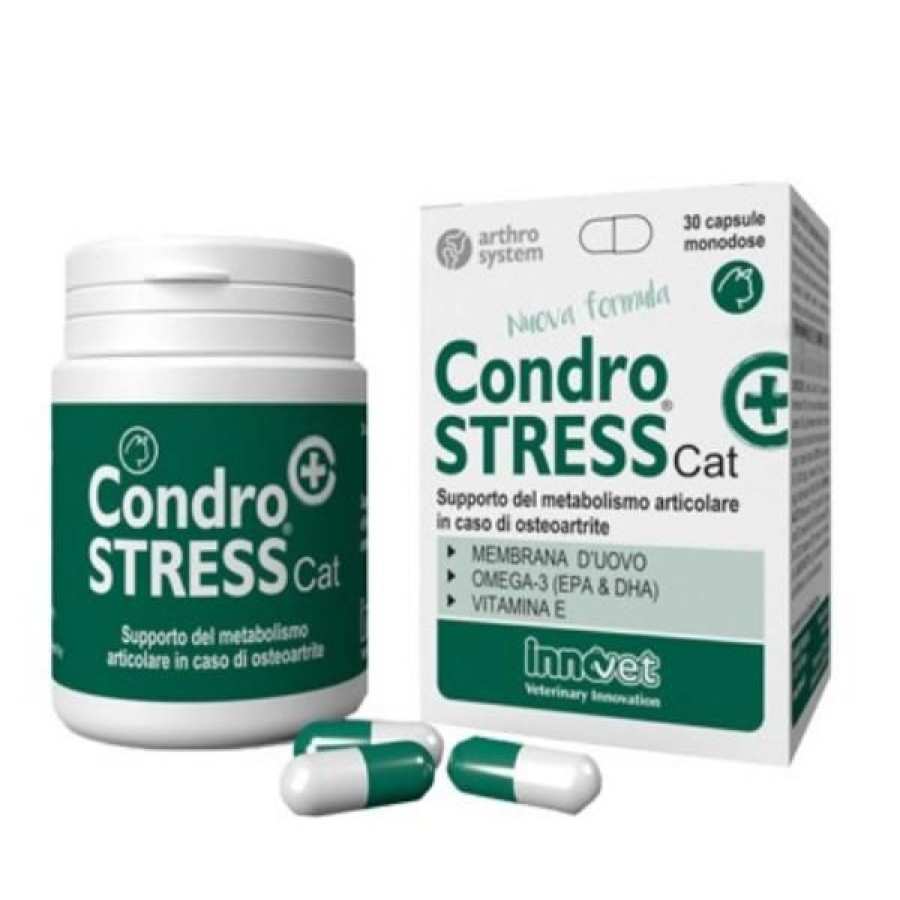 Gatti Innovet | Condrostress (+) Cat Senior Innovet