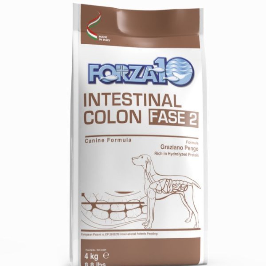 Cani Forza10 Active | Forza10 Active Cane Intestinal Colon Fase 2