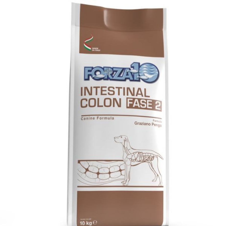 Cani Forza10 Active | Forza10 Active Cane Intestinal Colon Fase 2